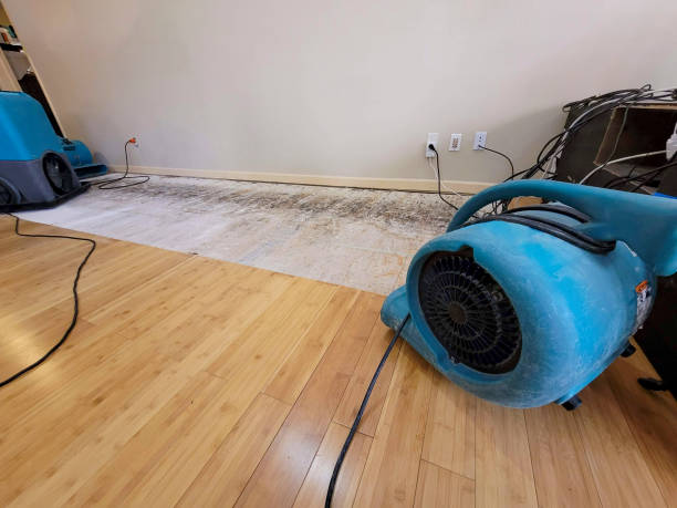 Professional Water Damage Repair technician working in Wilton, CA